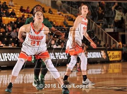 Thumbnail 1 in Long Beach Poly vs. Chaminade (CIF SoCal Regional Open Division Final) photogallery.