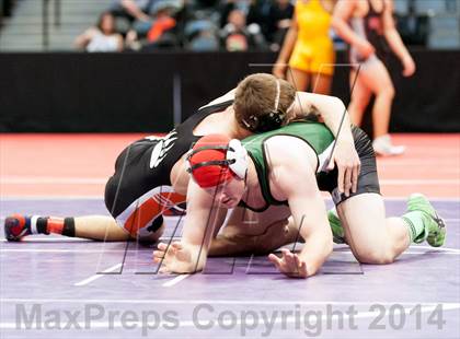 Thumbnail 1 in CHSAA State Wrestling Preliminaries (4A & 5A) photogallery.