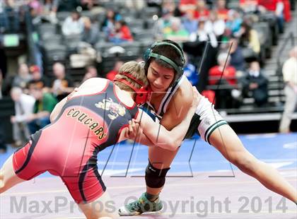 Thumbnail 3 in CHSAA State Wrestling Preliminaries (4A & 5A) photogallery.