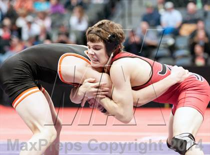Thumbnail 3 in CHSAA State Wrestling Preliminaries (4A & 5A) photogallery.