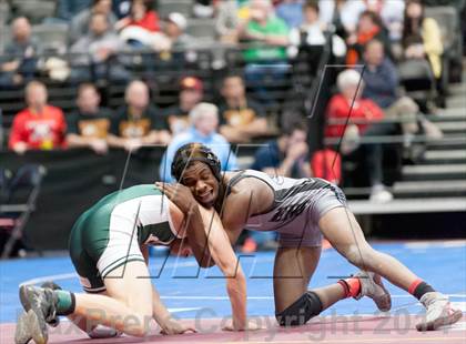Thumbnail 2 in CHSAA State Wrestling Preliminaries (4A & 5A) photogallery.