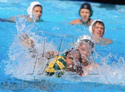 Thumbnail 1 in Mira Mesa @ Poway photogallery.