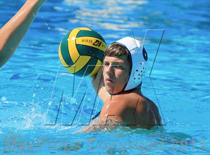 Thumbnail 1 in Mira Mesa @ Poway photogallery.