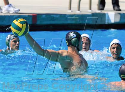 Thumbnail 1 in Mira Mesa @ Poway photogallery.