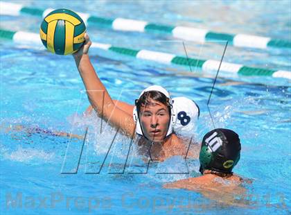 Thumbnail 3 in Mira Mesa @ Poway photogallery.