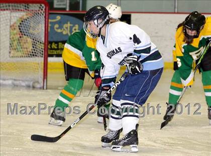 Thumbnail 3 in Bishop Guertin @ Dover/Aquinas photogallery.