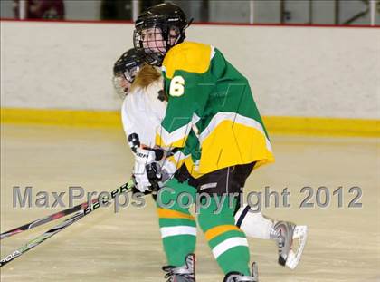 Thumbnail 1 in Bishop Guertin @ Dover/Aquinas photogallery.