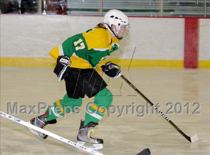 Thumbnail 3 in Bishop Guertin @ Dover/Aquinas photogallery.