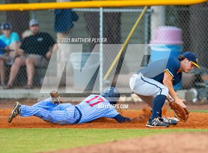 Thumbnail 2 in Cape Fear @ Terry Sanford photogallery.
