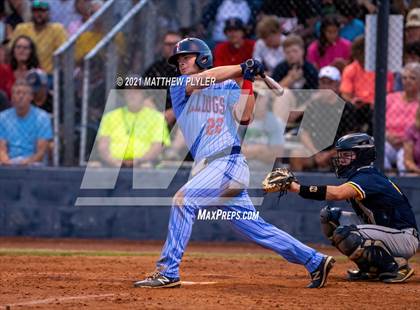 Thumbnail 2 in Cape Fear @ Terry Sanford photogallery.