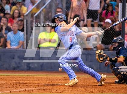 Thumbnail 3 in Cape Fear @ Terry Sanford photogallery.