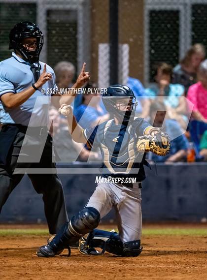Thumbnail 3 in Cape Fear @ Terry Sanford photogallery.
