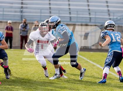 Thumbnail 3 in Rangeview @ Ralston Valley photogallery.