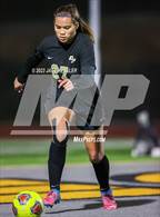 Photo from the gallery "Royal @ Oak Park"
