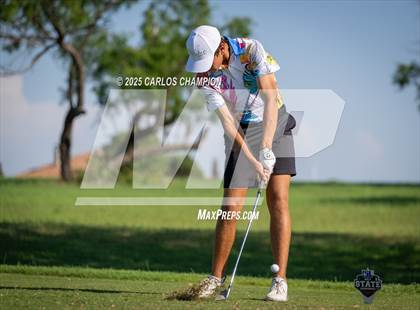 Thumbnail 2 in UIL 4A Boys Golf Finals photogallery.