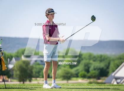 Thumbnail 1 in UIL 4A Boys Golf Finals photogallery.