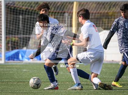 Thumbnail 2 in Poly @ Ramona photogallery.