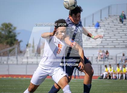 Thumbnail 2 in Poly @ Ramona photogallery.
