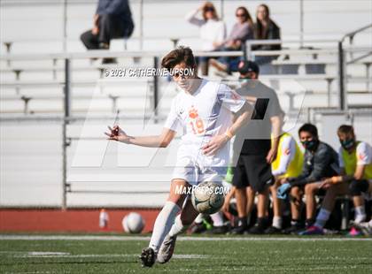 Thumbnail 3 in Poly @ Ramona photogallery.