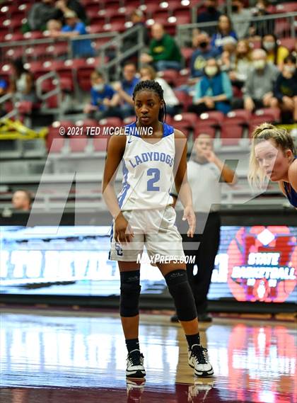 Thumbnail 1 in Star City vs. Harrison (AAA 4A State Round Two) photogallery.