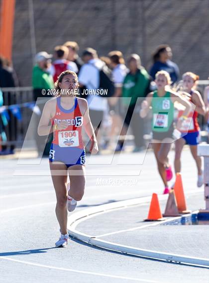 Thumbnail 3 in UF Relays (Friday) photogallery.