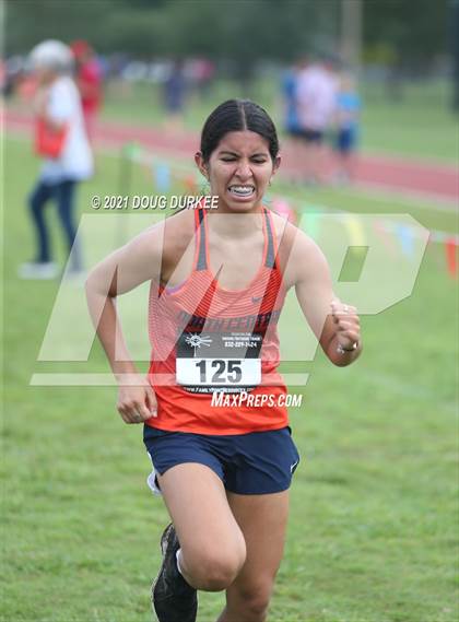 Thumbnail 3 in Hay Bale XC Meet  photogallery.