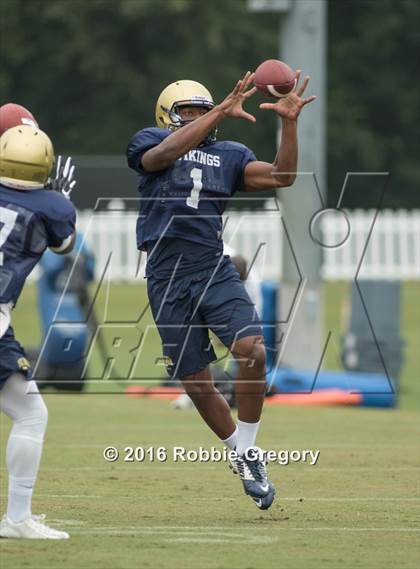 Thumbnail 1 in Spartanburg @ Carolina Panthers Training Camp photogallery.