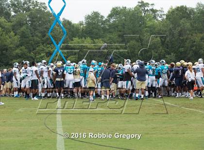 Thumbnail 1 in Spartanburg @ Carolina Panthers Training Camp photogallery.