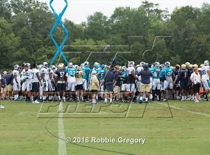 Thumbnail 1 in Spartanburg @ Carolina Panthers Training Camp photogallery.