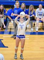 Photo from the gallery "Myers Park @ Lake Norman"