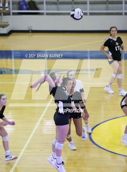Thumbnail 2 in Roncalli @ Carmel photogallery.