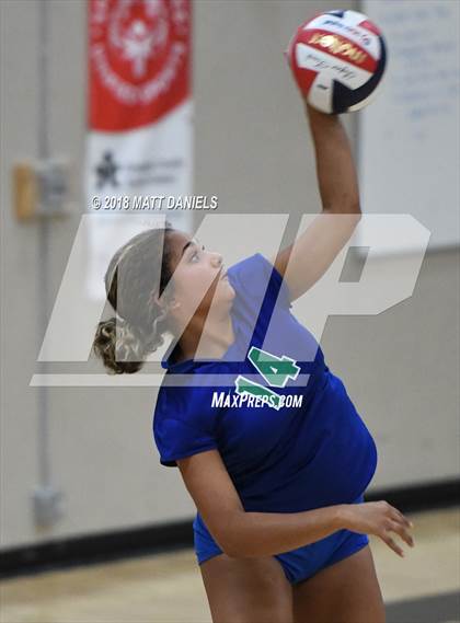 Thumbnail 2 in Doherty @ Ponderosa photogallery.
