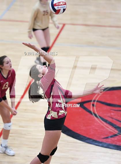 Thumbnail 3 in Doherty @ Ponderosa photogallery.