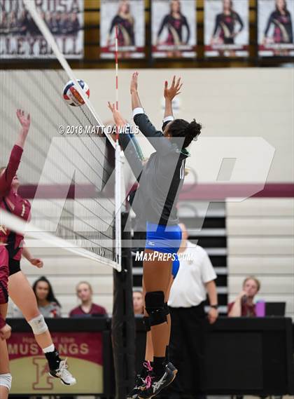 Thumbnail 3 in Doherty @ Ponderosa photogallery.