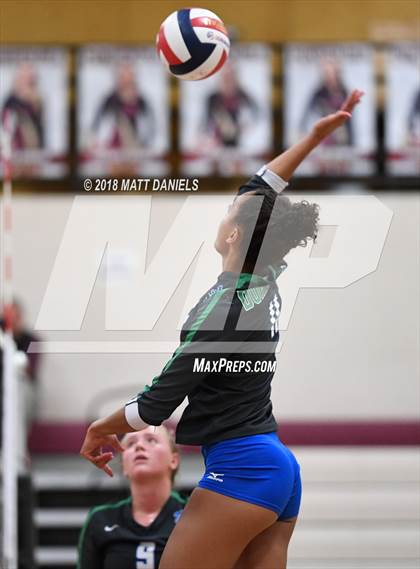 Thumbnail 2 in Doherty @ Ponderosa photogallery.