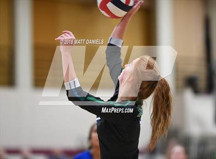 Thumbnail 3 in Doherty @ Ponderosa photogallery.