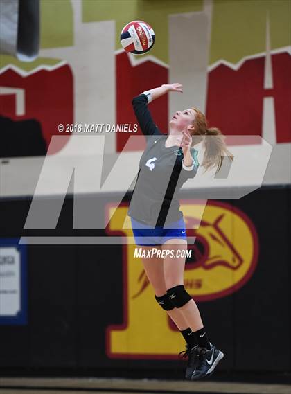 Thumbnail 1 in Doherty @ Ponderosa photogallery.