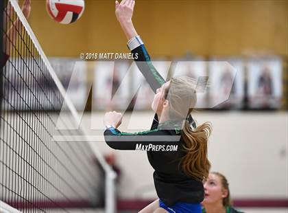 Thumbnail 3 in Doherty @ Ponderosa photogallery.