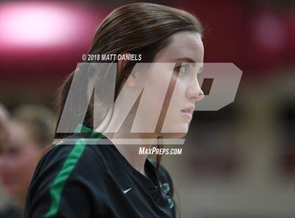 Thumbnail 2 in Doherty @ Ponderosa photogallery.