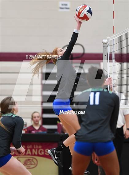 Thumbnail 1 in Doherty @ Ponderosa photogallery.