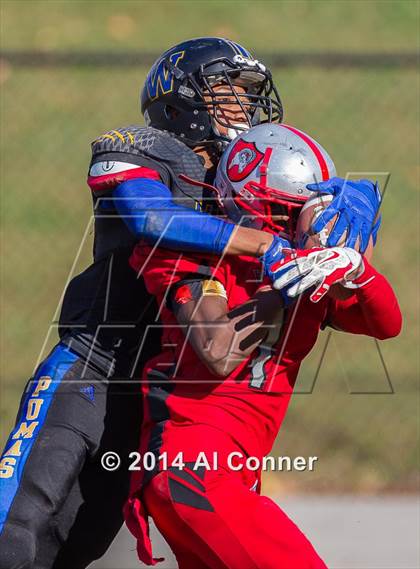 Thumbnail 3 in Suitland @ Wise photogallery.