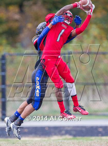 Thumbnail 3 in Suitland @ Wise photogallery.