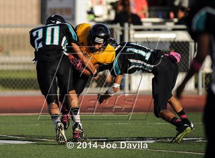 Thumbnail 3 in Cabrillo @ Pioneer Valley photogallery.