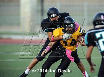 Thumbnail 3 in Cabrillo @ Pioneer Valley photogallery.