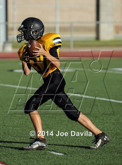 Thumbnail 1 in Cabrillo @ Pioneer Valley photogallery.