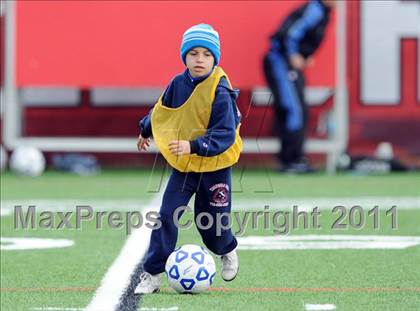 Thumbnail 1 in MacArthur vs Arlington (NYSPHSAA Class AA Final) photogallery.