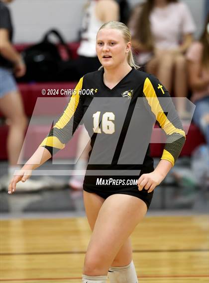Thumbnail 2 in Globe vs Arizona Lutheran Academy (The Florence VB Invitational) photogallery.