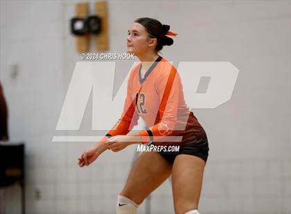 Thumbnail 2 in Globe vs Arizona Lutheran Academy (The Florence VB Invitational) photogallery.