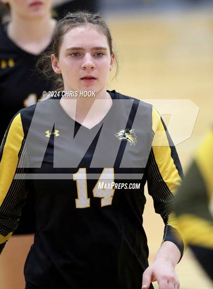 Thumbnail 1 in Globe vs Arizona Lutheran Academy (The Florence VB Invitational) photogallery.