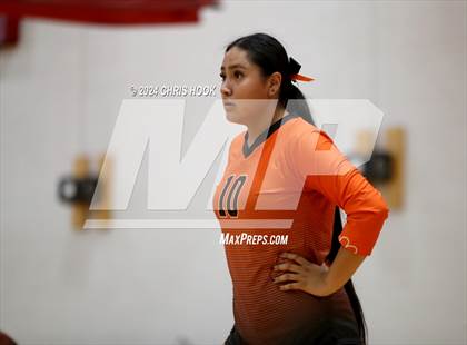 Thumbnail 1 in Globe vs Arizona Lutheran Academy (The Florence VB Invitational) photogallery.